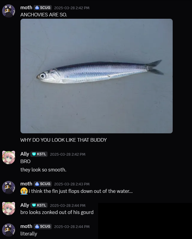 moth and I talking about how funny anchovies look.